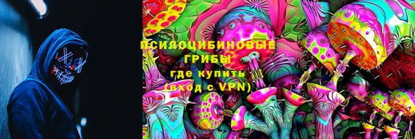 СК Балахна