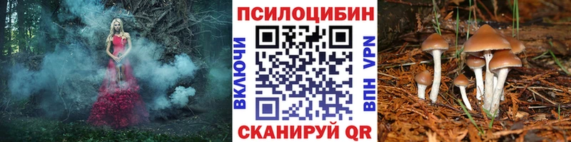 купить наркотики цена  Белый  Псилоцибиновые грибы мухоморы 